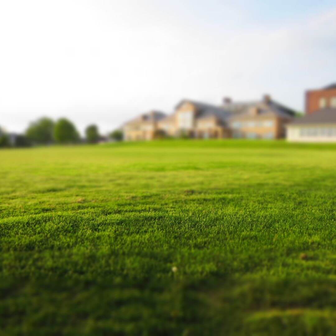 4 Benefits of Installing Artificial Turf This Winter 4 svg+xml;charset=utf