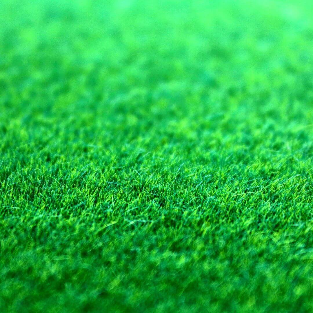 4 Benefits of Installing Artificial Turf This Winter 3 svg+xml;charset=utf