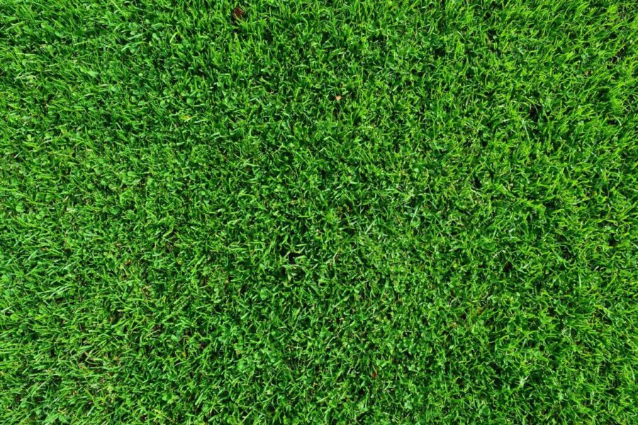 How Turf Can Improve Your Home Value